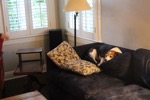 resIMG_20160116_074358_5556.JPG